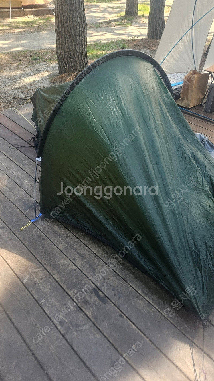 테라노바 레이저 컴팩트1 팝니다--3