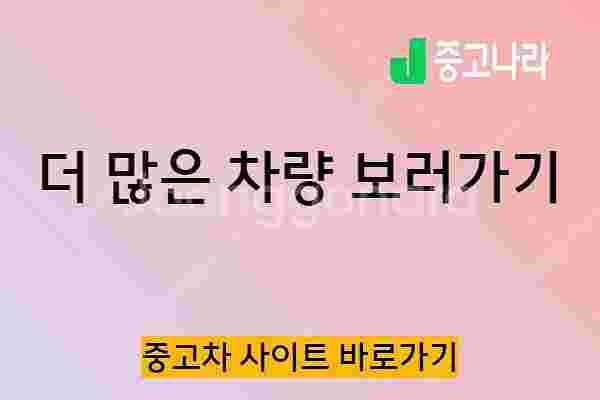 스타렉스 캠핑카 중고 가격 스타렉스 중고캠핑카 가격 회...--2