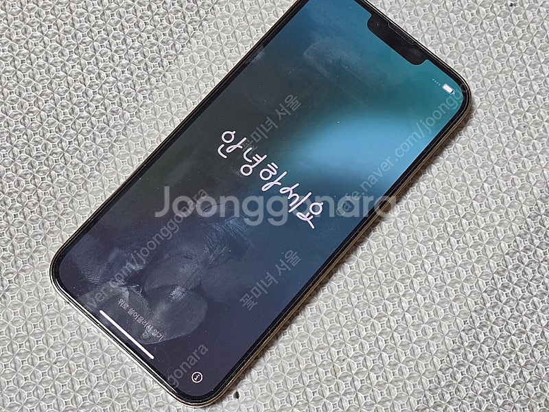 아이폰 13 Pro Max 골드 1TB--2