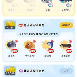 틱톡 도루묵 상어 실러캔스 문피시 사기 조심! 깅또깅 사기꾼입니다.