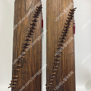 25현 가야금