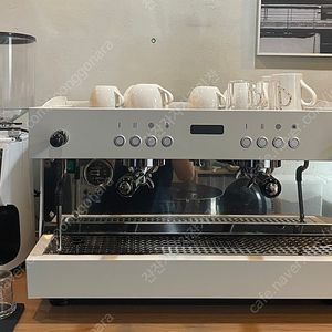엘로치오 모레스트 라이트