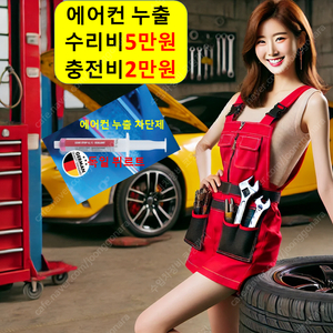 에어컨 충전 2만원/누출 수리 5만원/자동차 차량 카센터 누출 일반 점검 에어콘 견적 고장 정비 정비소 카센터 블루핸즈 오토큐 바람 상태 공임비 여름철 예상 원인 이용 전문가 절반