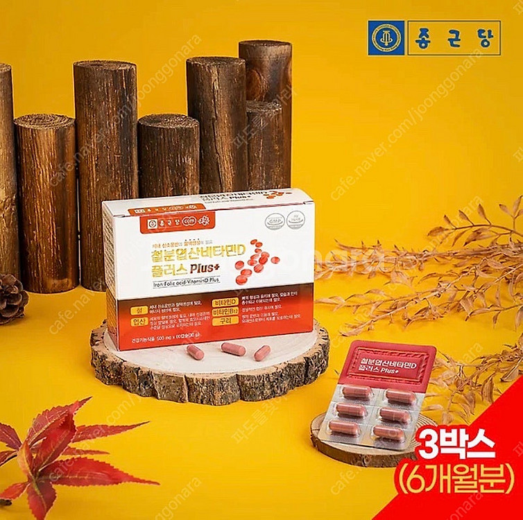종근당 임산부 필수 영양제!!--1
