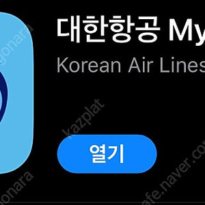 대한항공 편도 일본 항공권 팝니다