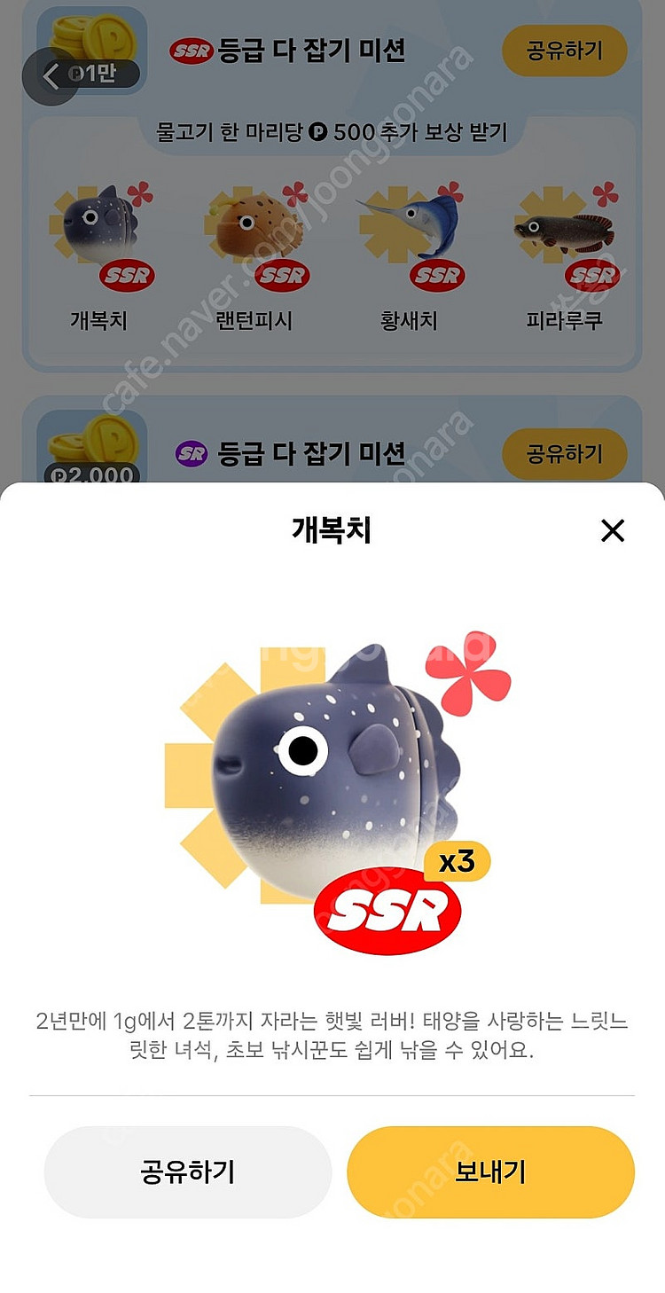 틱톡라이트 개복치 2000원에 팔아요.--0