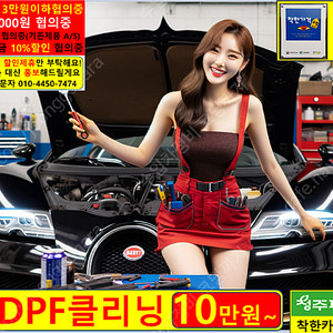 DPF 클리닝 비용 공임 10만원 카센터 나라 흡기 인젝터 크리닝 디젤 승용차 동호회 카본 침착 청소 비개 재생 강제 수동 자동 경고등 고장 예방 정비 오토큐 블루핸즈 공업사 정기