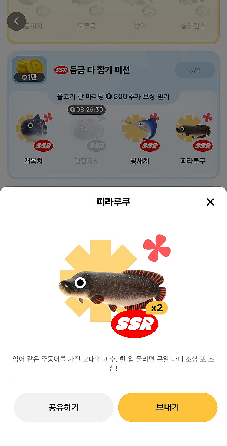 틱톡라이트 낚시 피라루쿠 2000 / 복어 참다랑어 판...--0