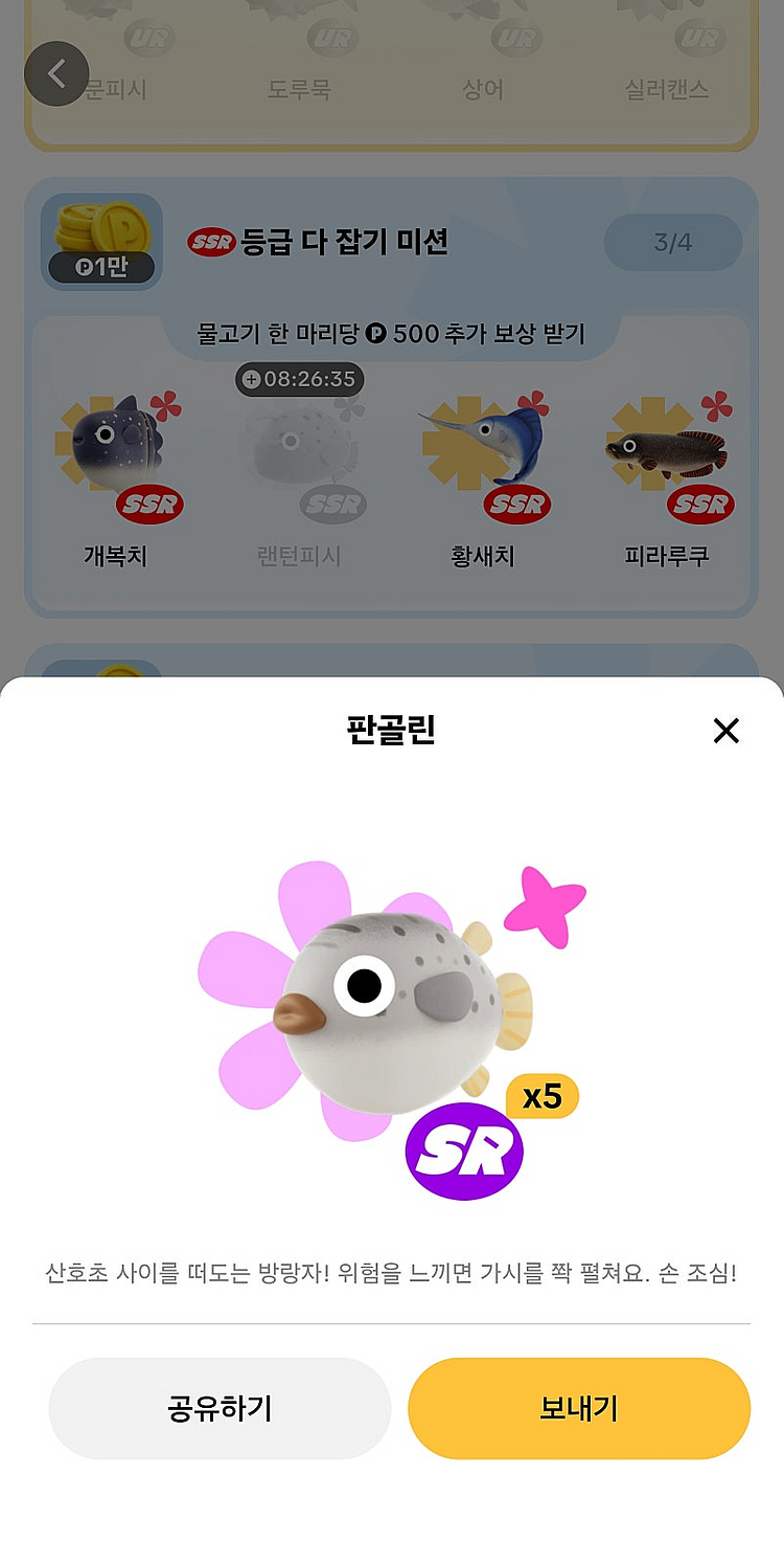 틱톡라이트 낚시 피라루쿠 2000 / 복어 참다랑어 판...--1