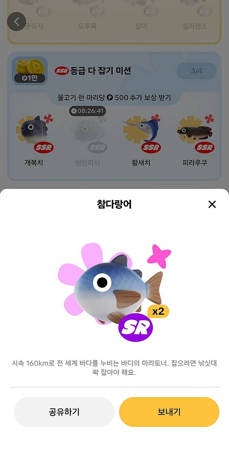틱톡라이트 낚시 피라루쿠 2000 / 복어 참다랑어 판...--2