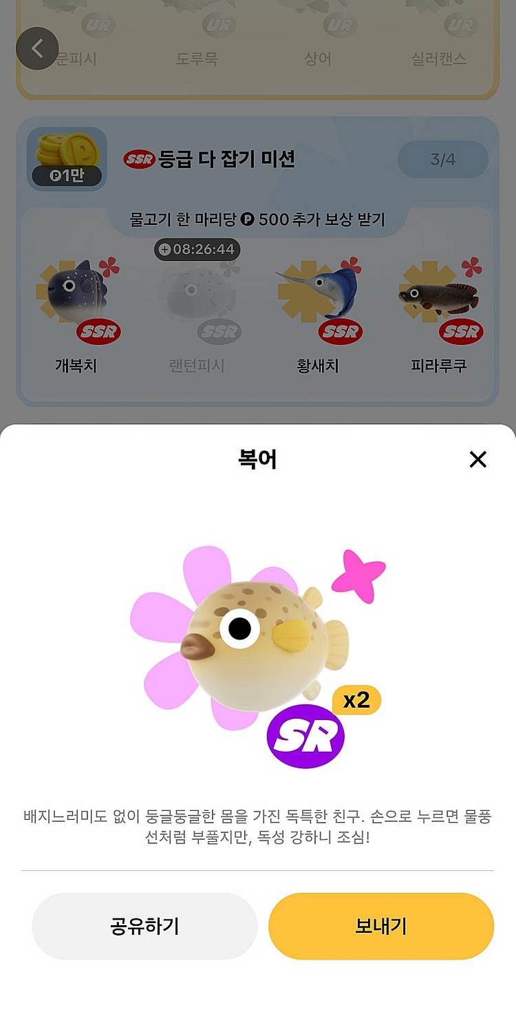 틱톡라이트 낚시 피라루쿠 2000 / 복어 참다랑어 판...--3