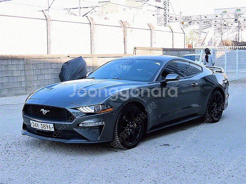 포드 머스탱 중고 머스탱 중고차 회색 2019년식 61...--3