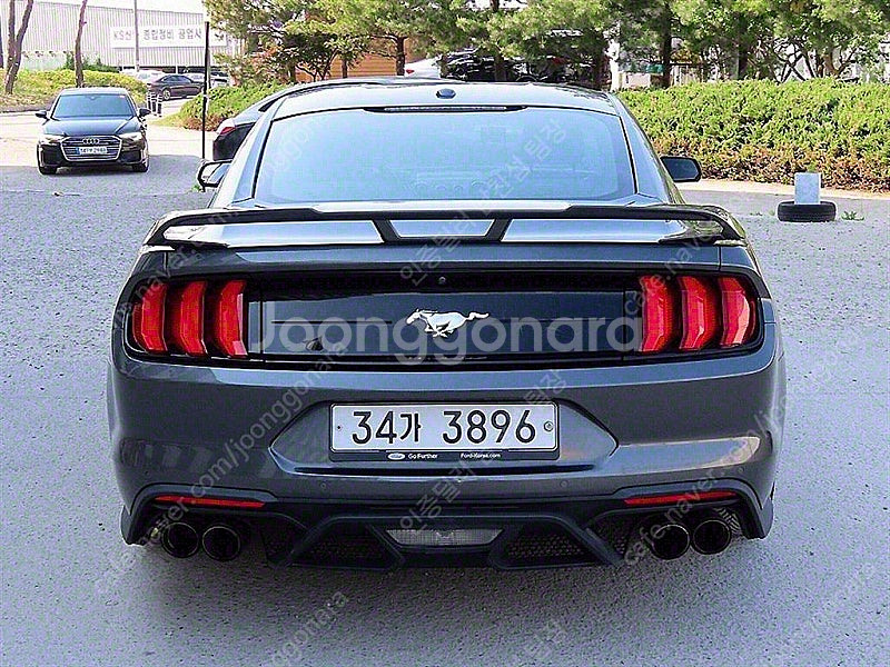 포드 머스탱 중고 머스탱 중고차 회색 2019년식 61...--5