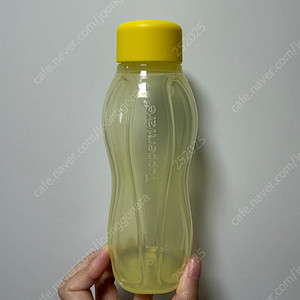 [새상품] 타파웨어 레몬색 310ml 물병 반값에 판매