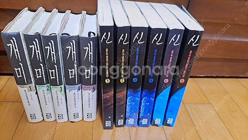 베르나르베르베르 개미 신--0