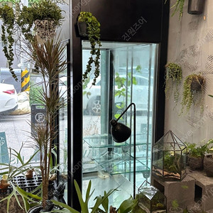 한성 꽃냉장고 쇼케이스