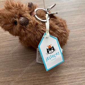 젤리캣 카피바라 키링