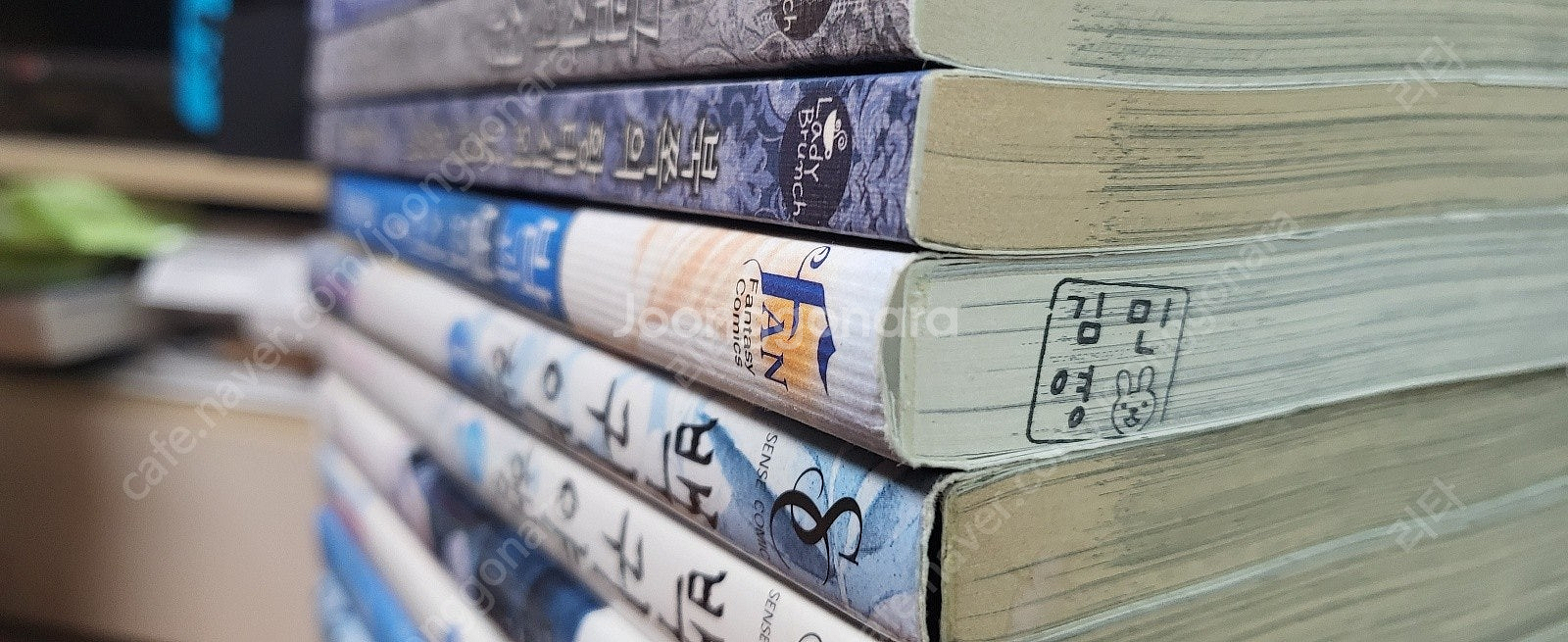 [절판된 소장용 만화책, 라이트노벨 다량 판매] 충사,...--5