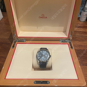 오메가 테라 청판 아쿠아 41mm 신형