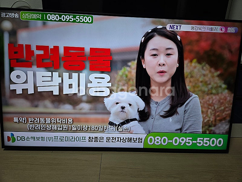LG 55인치 UHD 스마트 벽걸이 TV--0