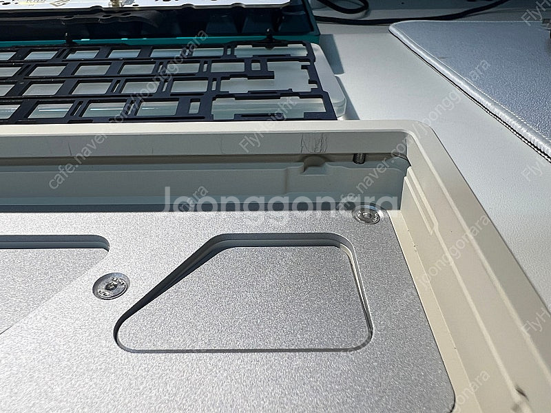 frog mini 크림 wkl--4