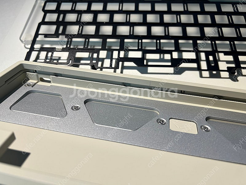 frog mini 크림 wkl--5