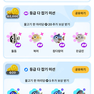틱톡 낚시 참다랑어 판골린 두마리 모두 1000원