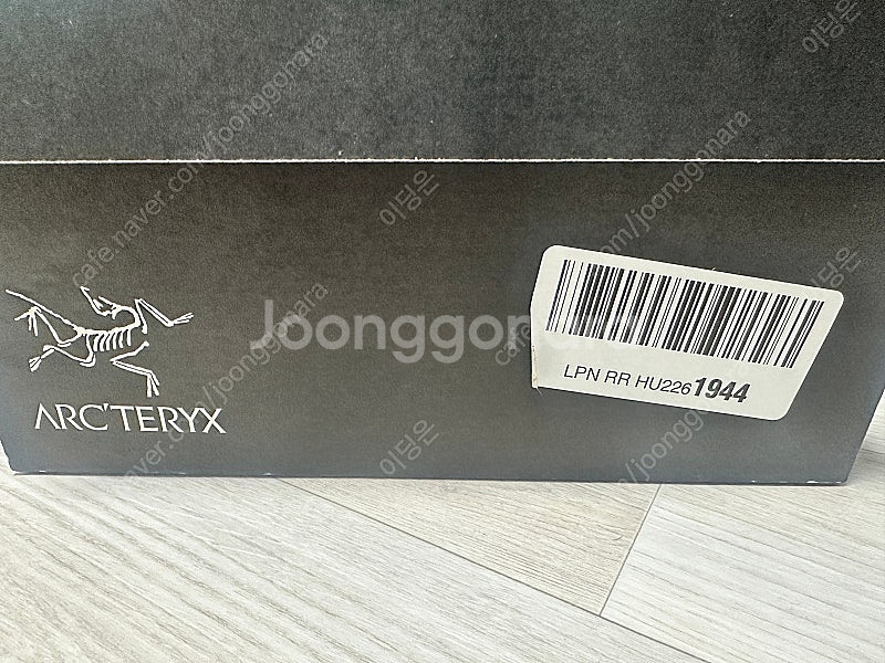 아크테릭스 에어리어스 FL 2 미드 GTX (AFNFU...--2