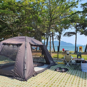 노스피크 에리쉘 레그색상 판매