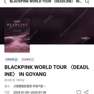 7/6 일요일 블랙핑크 콘서트 S석 2장