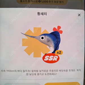 틱톡라이트물고기 황새치 ㅍㅍ
