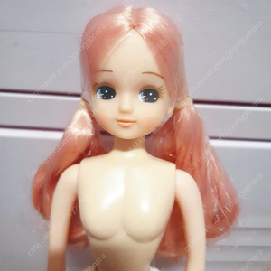 핑크 고베리카 누드 오늘만 13만원