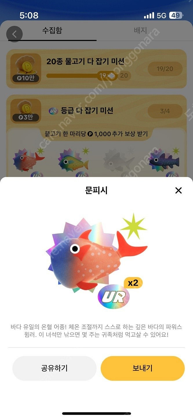 문피시 도루묵 상어일괄 10만원에구해요--0