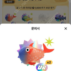문피시 도루묵 상어일괄 10만원에구해요