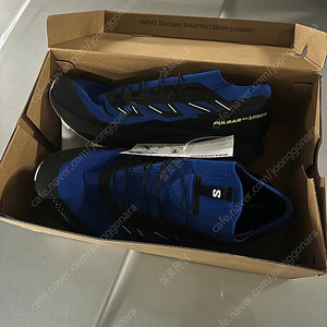 살로몬 트레일 펄사2 280