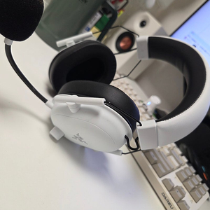 레이저 블랙샤크 V2 하이퍼 스피드 화이트 판매합니다