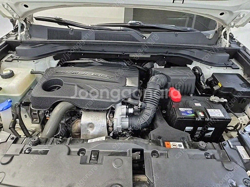 쌍용 뷰티풀코란도 중고 흰색 2020년식 4WD 가솔린...--6