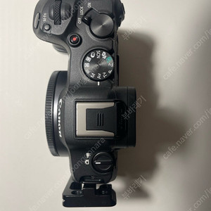 캐논 EOS R8