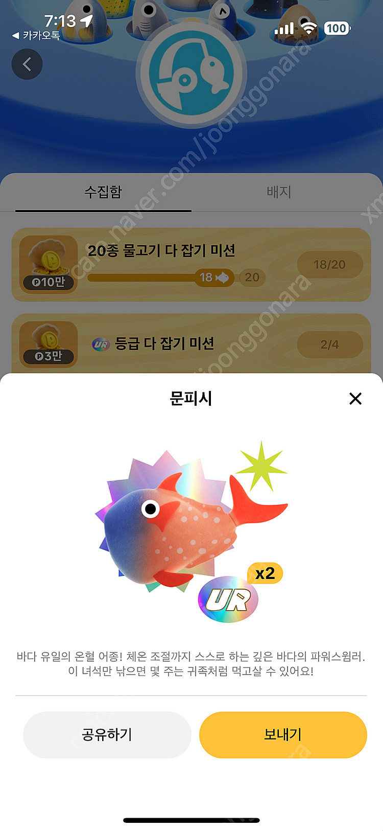 틱톡라이트 틱톡낚시 도루묵 이랑 상어 구매합니다!!--0