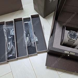 (절충가능) 글라슈테 오리지널 세나토 엑셀런스 검판 판매합니다