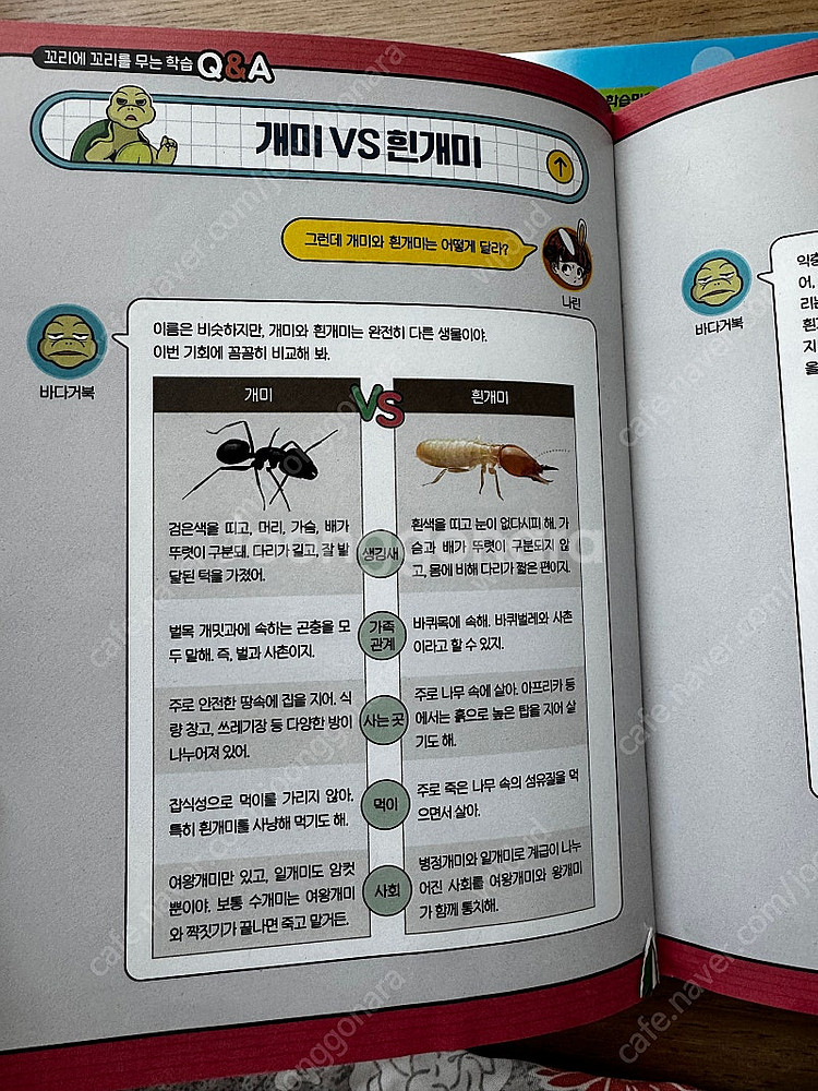 토깽이네 지구 구출대작전 7권 세트--5