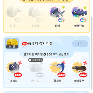 틱톡라이트 물고기 삽니다 ur문피시 도루묵
