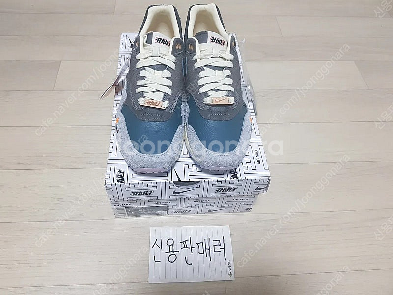 [260] 나이키 x 카시나 에어맥스1 원앙 파티클 그...--1
