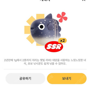 틱톡 개복치팝니다