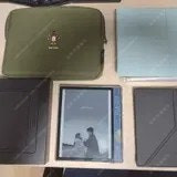 오닉스 리프3