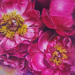 행복 Watercolor 수채화 꽃그림