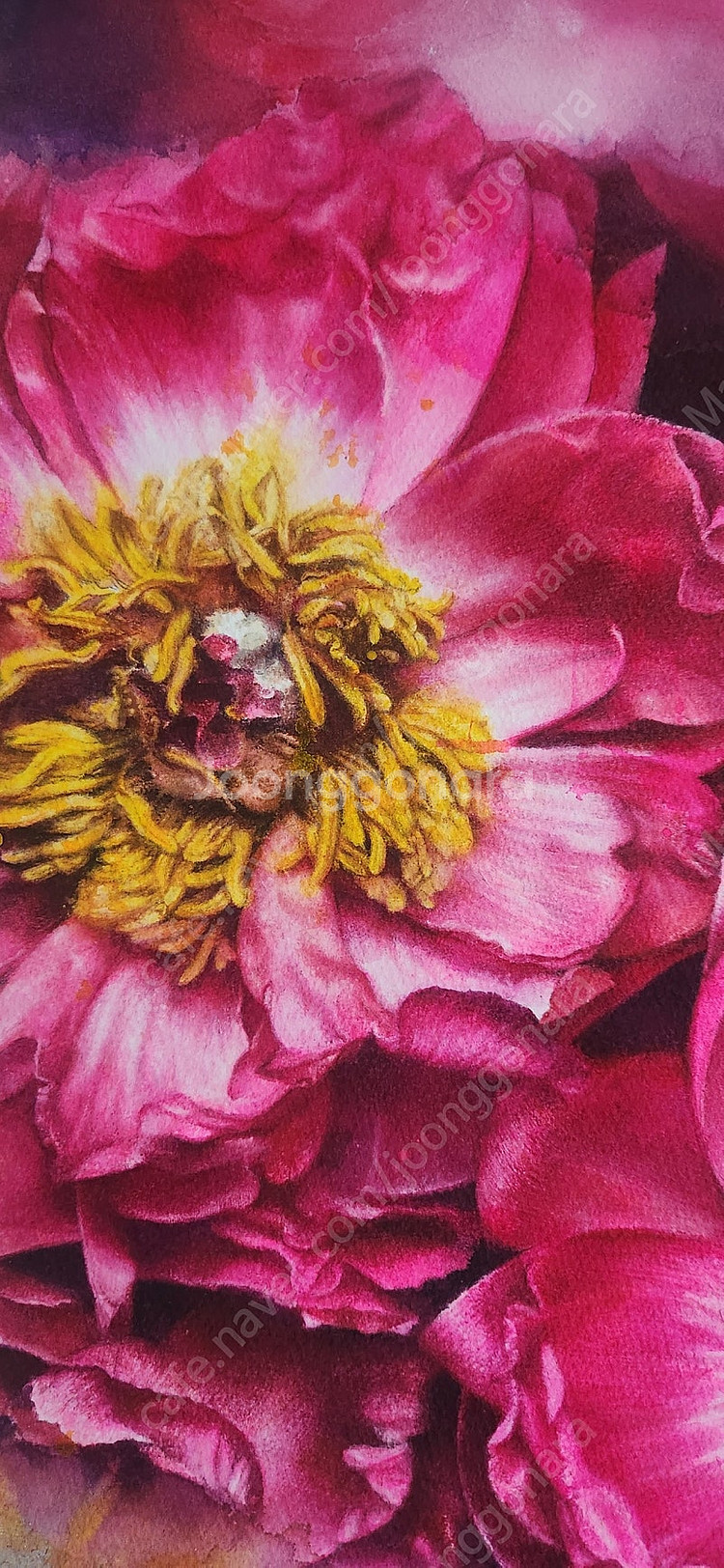 행복 Watercolor 수채화 꽃그림--8