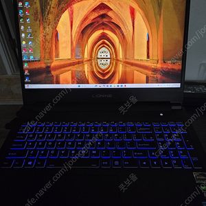 LIONINE 게이밍 노트북 RTX 3070