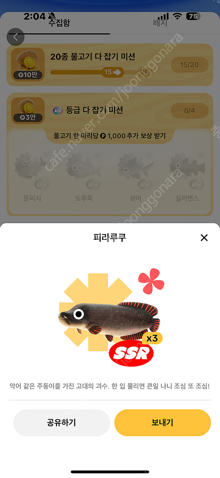 틱톡 낚시 피라루쿠 판매--0