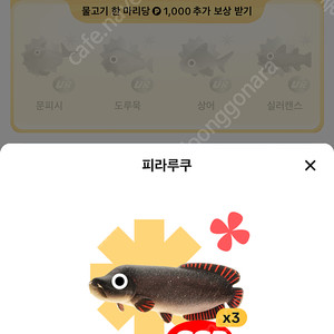 틱톡 낚시 피라루쿠 판매